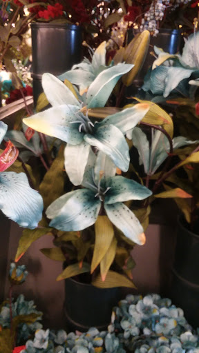 Craft Store «Hobby Lobby», reviews and photos, 4300 Bass Pro Dr, Independence, MO 64055, USA