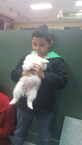 Pet Store «Petland», reviews and photos, 2123 Old Hudson Rd, St Paul, MN 55119, USA