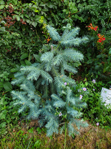 Park «Titus Sparrow Park», reviews and photos, 200 W Newton St, Boston, MA 02118, USA