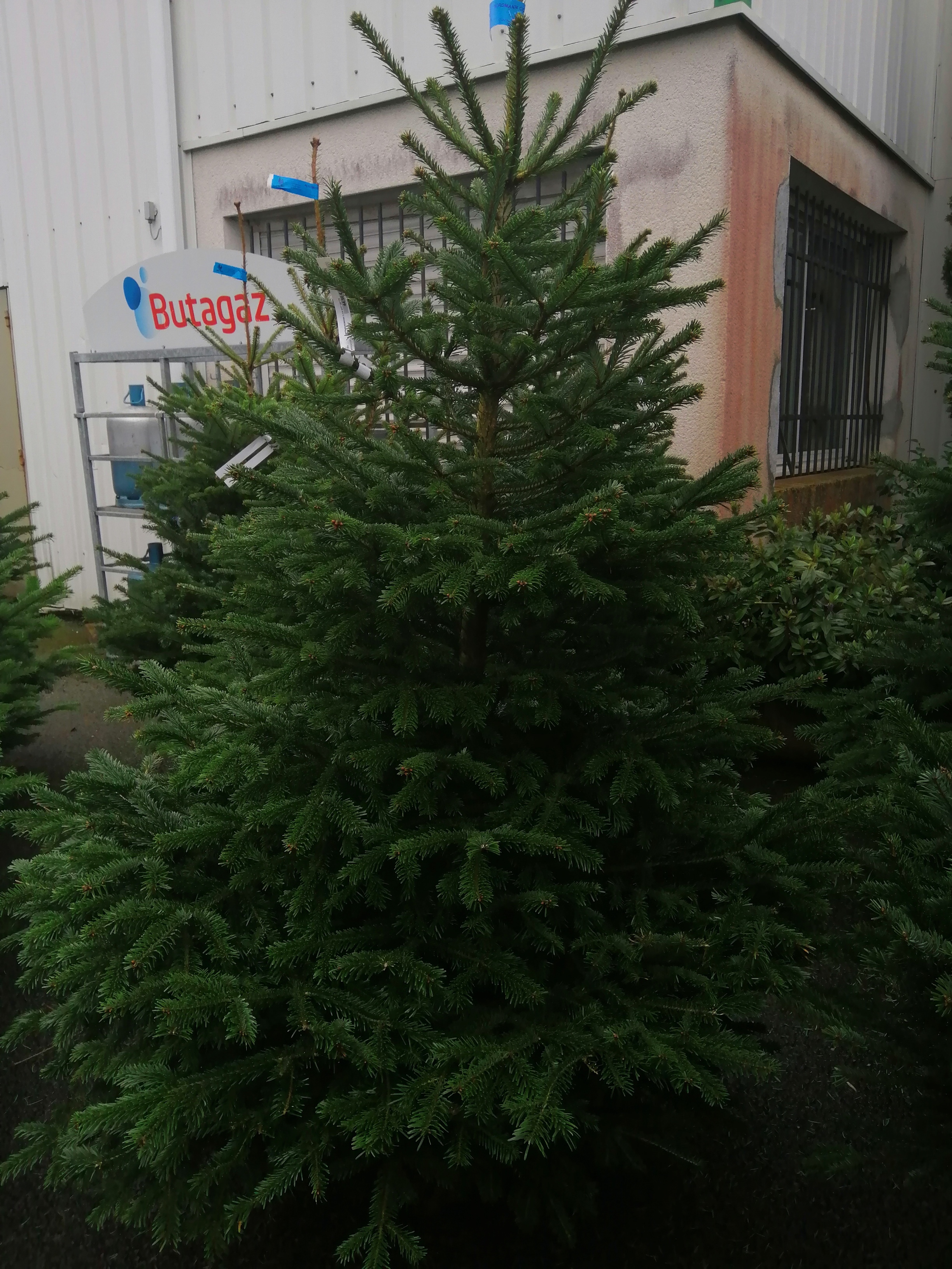 Photo n° 2 de l'avis de sarah.r fait le 01/12/2019 à 07:13