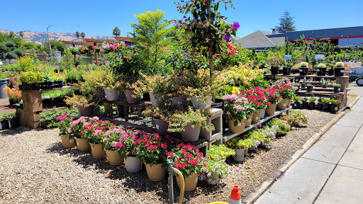 Hardware Store «Payless Hardware, Rockery and Nursery», reviews and photos, 2927 King Rd, San Jose, CA 95122, USA