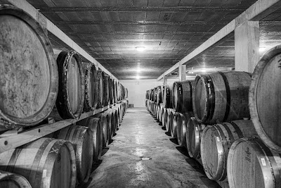 Vins Rijckaert à Davayé