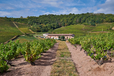 Domaine de La Presle à Fleurie