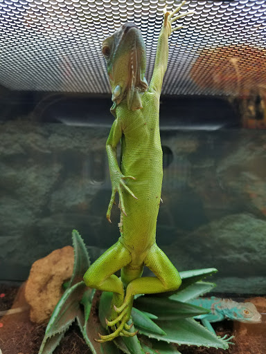 Pet Supply Store «Petco Animal Supplies», reviews and photos, 10464 Baltimore Ave, Beltsville, MD 20705, USA