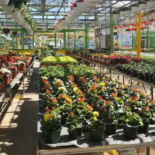 Florist «Dutch & Olgas Greenhouse», reviews and photos, 1285 NJ-36, Hazlet, NJ 07730, USA