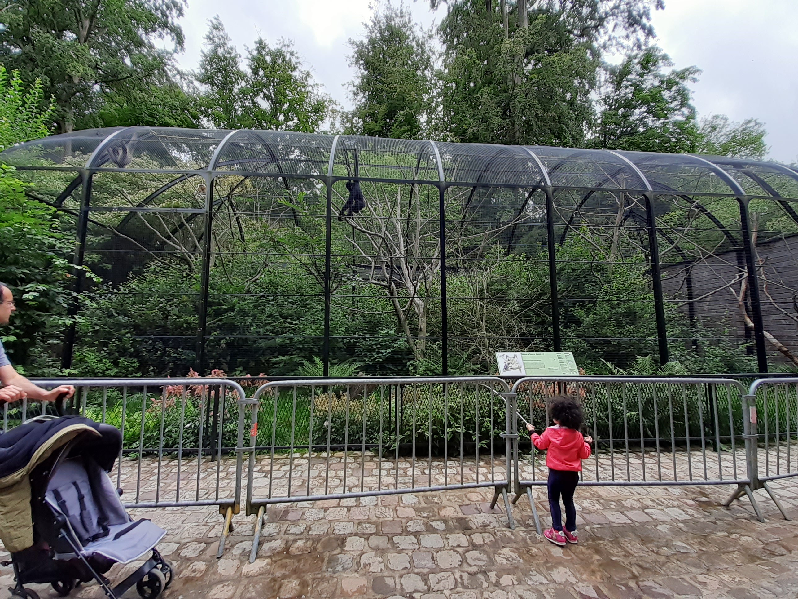 Photo n° 21 de l'avis de Ciccio.e fait le 28/07/2020 à 01:20