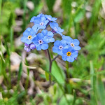 Photo n°4 de l'avis de Eleonor.i fait le 10/06/2023 à 05:30 sur le  Cabane du Combal à Courmayeur