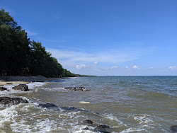 Photo de Black Rock Beach zone des équipements