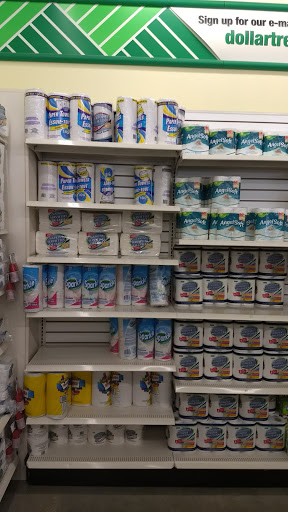 Dollar Store «Dollar Tree», reviews and photos, 3103 111th St #115, Naperville, IL 60564, USA