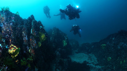 Buceo Atlantis Cies