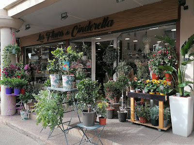 Les fleurs de Cinderella à Roquefort-la-Bédoule