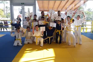 PIGASOS JUDO CLUB image