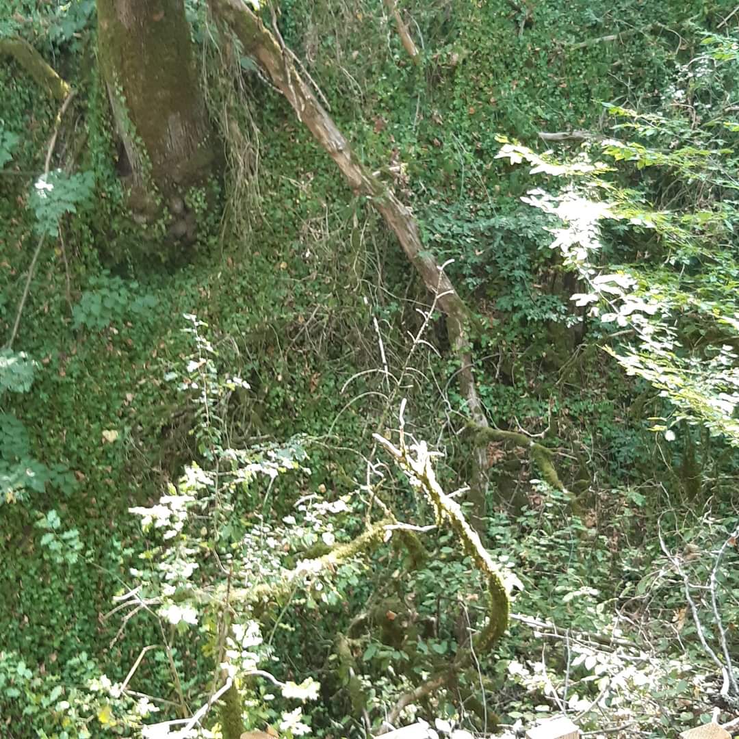Photo n° 20 de l'avis de Anne.i fait le 13/08/2022 à 16:33