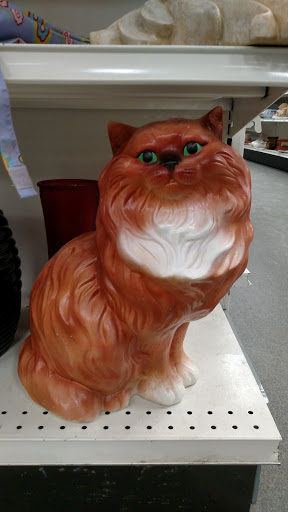 Thrift Store «Goodwill», reviews and photos, 1145 N Colony Rd, Wallingford, CT 06492, USA