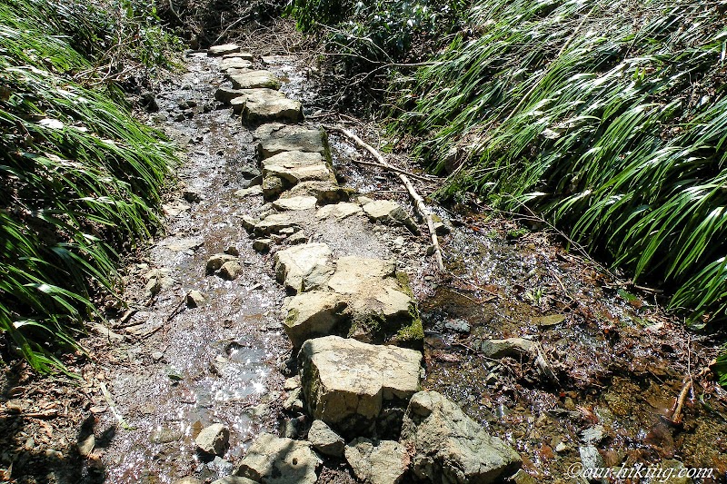 高尾山登山道 びわ滝コース 東京都八王子市高尾町 ハイキング コース グルコミ