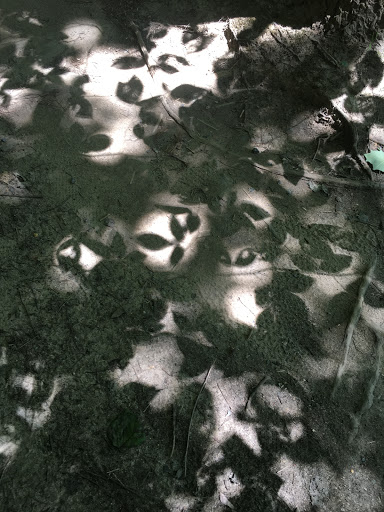 Park «Rockburn Branch Park», reviews and photos, 6105 Rockburn Branch Park Rd, Elkridge, MD 21075, USA