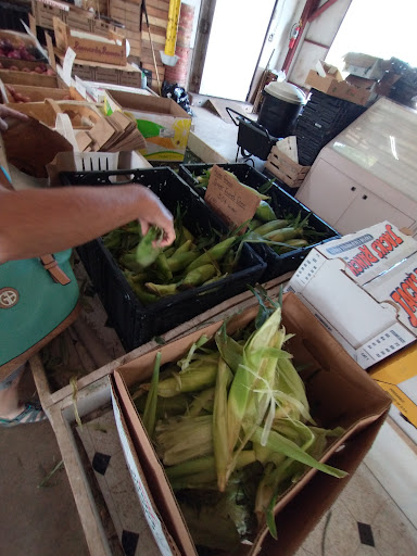 Greenhouse «Stiles Vegetable Farm and Greenhouse», reviews and photos, 11717 Sheridan Rd, Pleasant Prairie, WI 53158, USA