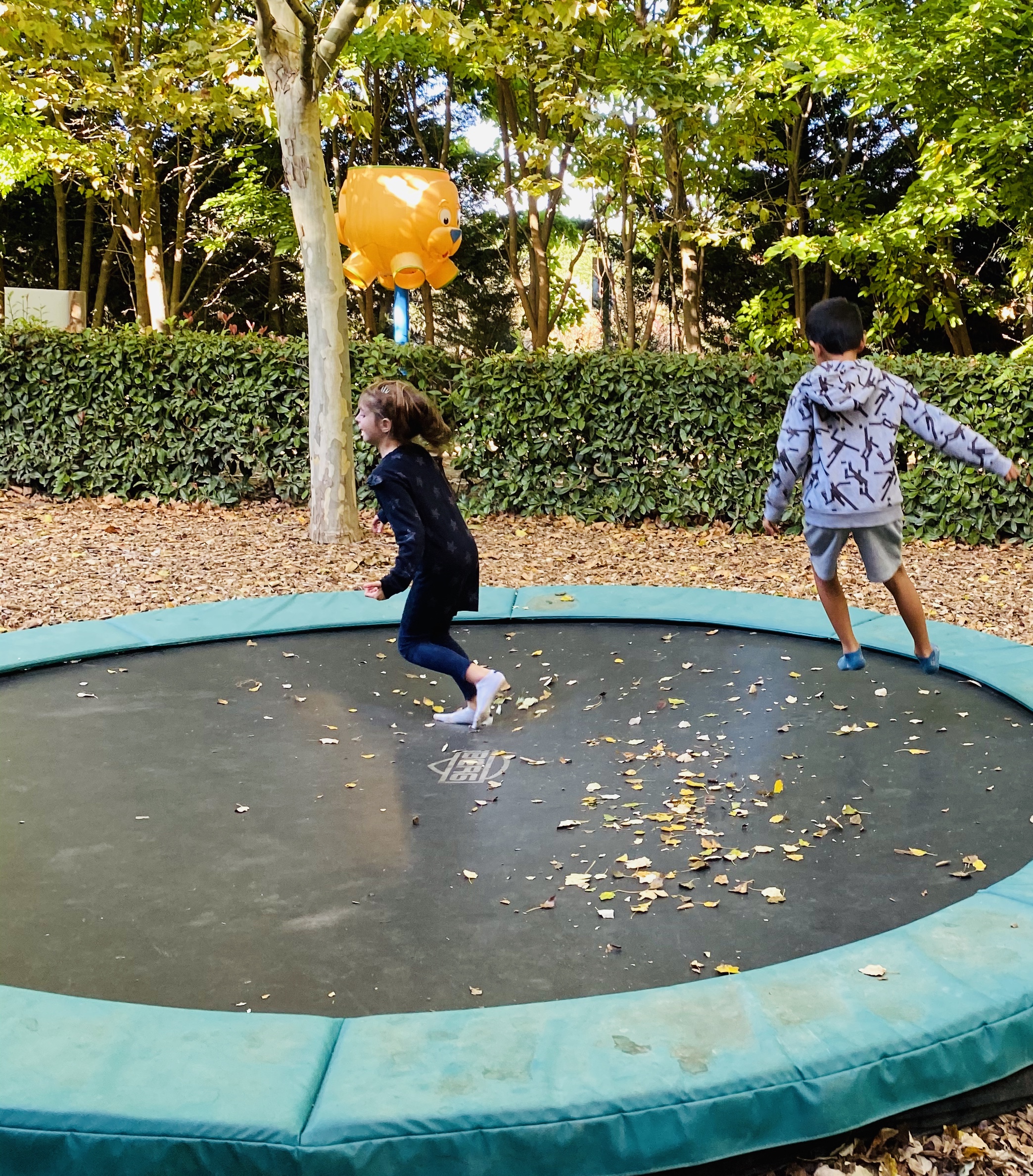 Photo n° 1 de l'avis de Ange.e fait le 27/10/2020 à 11:16