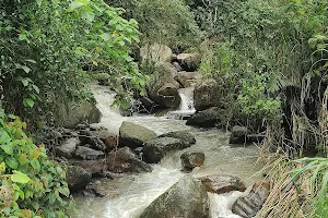 Río Apulo image