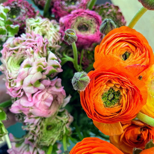 Florist «El Camino Florist», reviews and photos, 632 El Camino Real, South San Francisco, CA 94080, USA