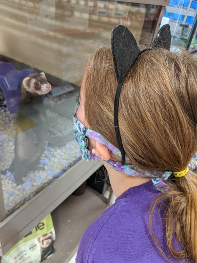 Pet Supply Store «Petco Animal Supplies», reviews and photos, 8644 E 96th St, Fishers, IN 46038, USA