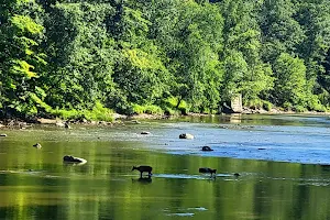 Cleveland Metroparks image