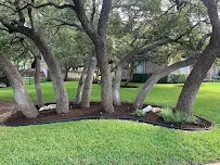Prestigious Landscaping, LLC - Car repair in , Round Rock - Rated 0.0/5