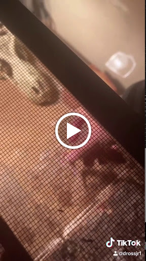 Pet Supply Store «PetSmart», reviews and photos, 573 N McKinley St, Corona, CA 92879, USA