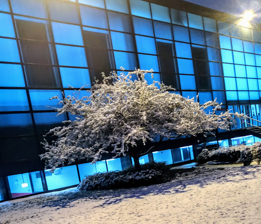 Gym «Keating Sports Center», reviews and photos, 3040 S Wabash Ave, Chicago, IL 60616, USA