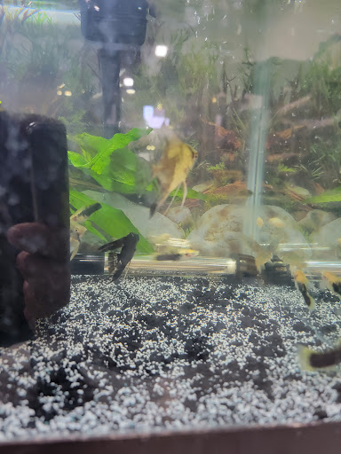 Pet Supply Store «Mini Pet Mart», reviews and photos, 1609 Virginia Ave, North Bend, OR 97459, USA