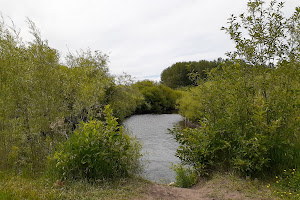 Cherry River Fishing access