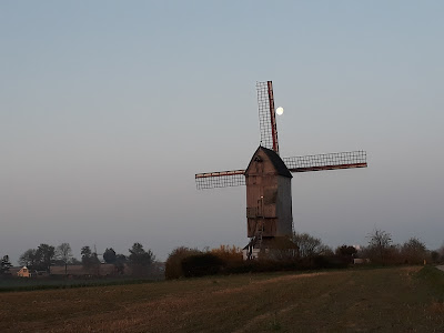 Noordmeulen à Steenvoorde