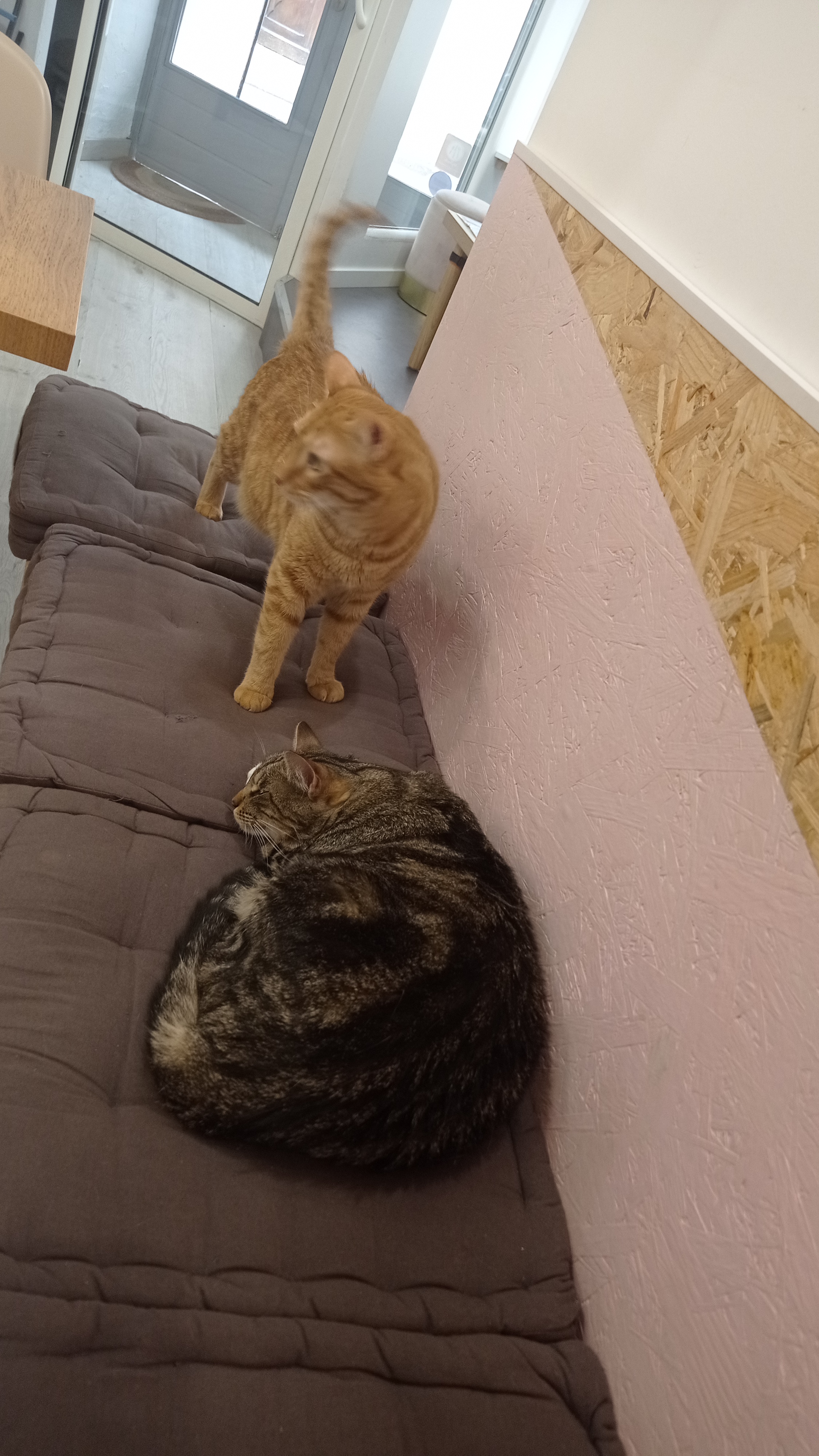Photo n° 3 de l'avis de Carotenuto.a fait le 27/07/2021 à 15:59
