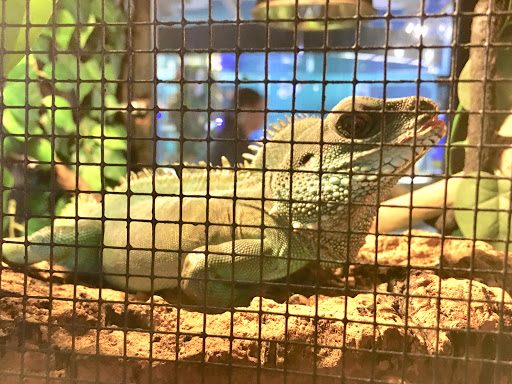 Tourist Attraction «IMAG History & Science Center (formerly Imaginarium Science Center)», reviews and photos, 2000 Cranford Ave, Fort Myers, FL 33916, USA