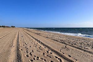 Parkdale Beach Dog Off Leash Area