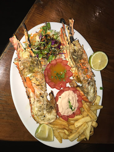 Comentarii opinii despre Captain G