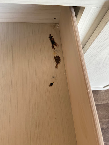 Mobile Home Dealer «Thomas Outlet Homes», reviews and photos