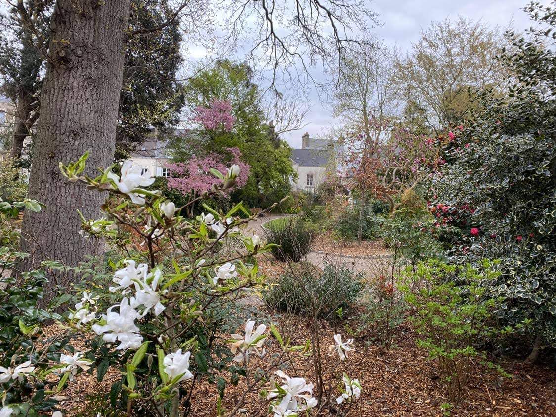 Photo n° 1 de l'avis de Aurelie.o fait le 10/04/2021 à 18:14