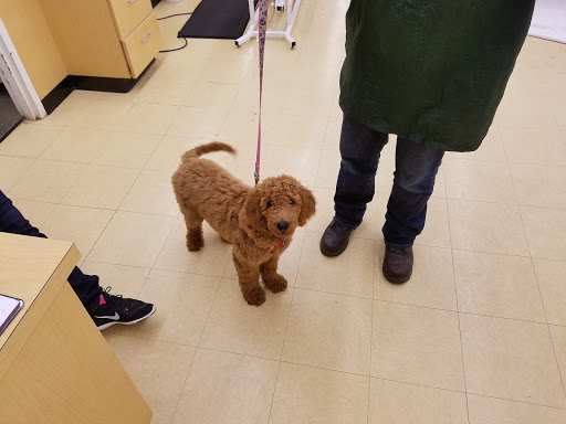 Pet Supply Store «Pet Supplies Plus», reviews and photos, 5229 Library Rd, Bethel Park, PA 15102, USA