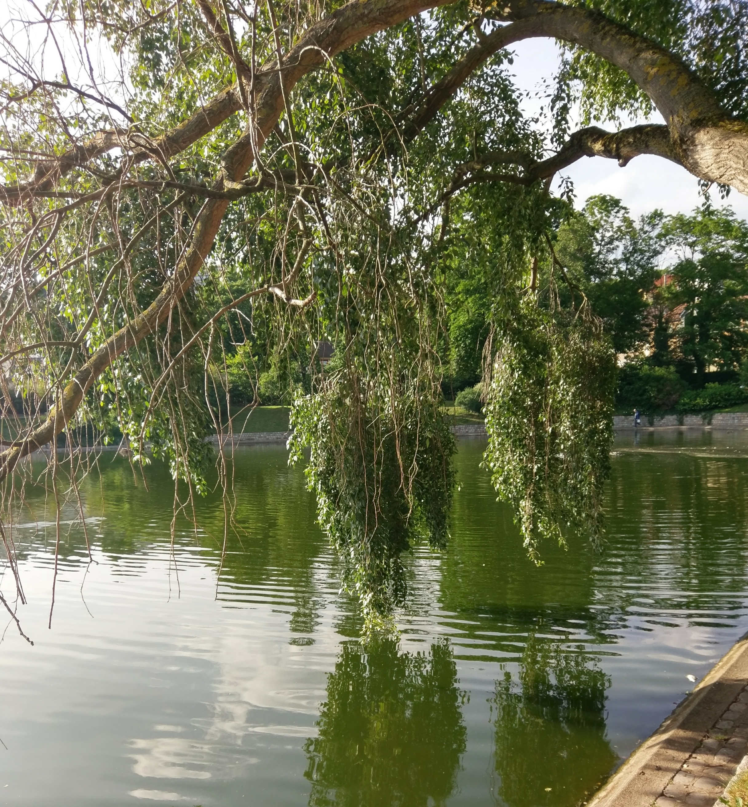 Photo n° 2 de l'avis de Dès.o fait le 04/06/2017 à 18:48