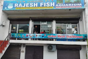 RAJESH FISH AQUARIUM image