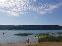 Plage de Chaon'in fotoğrafı doğal alan içinde bulunmaktadır