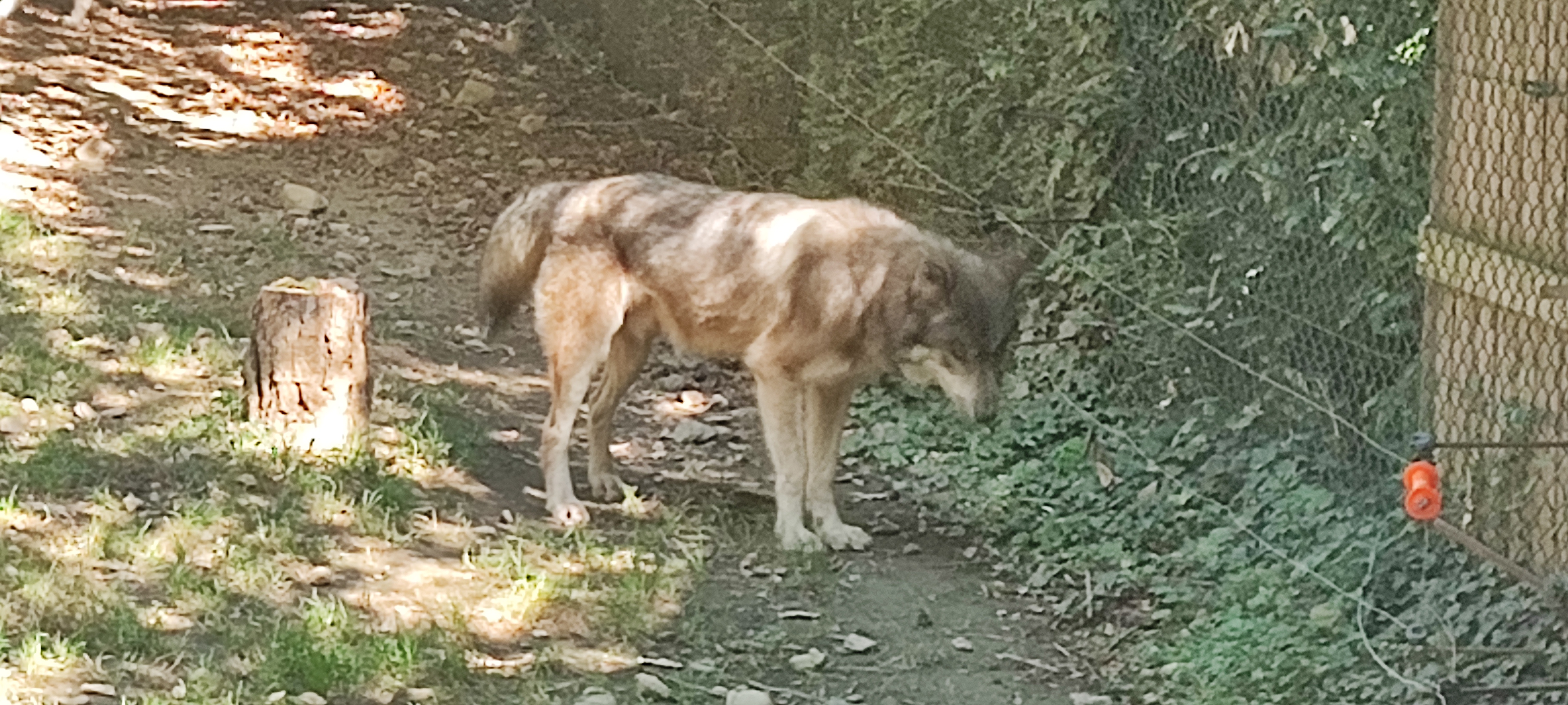 Photo n° 14 de l'avis de Thierry.i fait le 28/09/2023 à 17:40