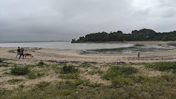 Plage de Camaret'in fotoğrafı biraz temiz temizlik seviyesi ile