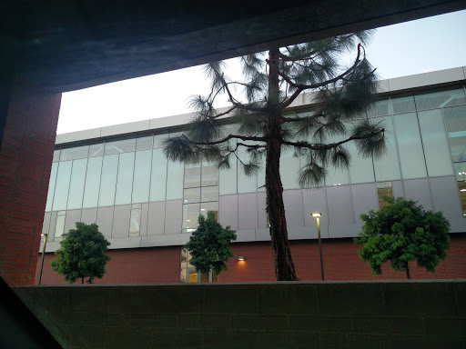 Gym «Student Recreation and Wellness Center», reviews and photos, 1401 Palo Verde Ave, Long Beach, CA 90815, USA