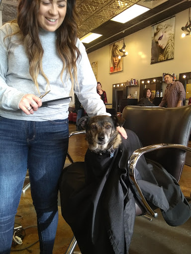 Hair Salon «Salon Modefi Hair & Care Littleton, CO.», reviews and photos, 8174 S Kipling Pkwy, Littleton, CO 80127, USA