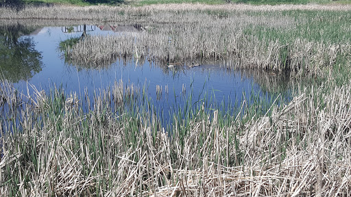 Nature Preserve «Gateway Lakes Natural Area», reviews and photos, 28th Street, Greeley, CO 80634, USA