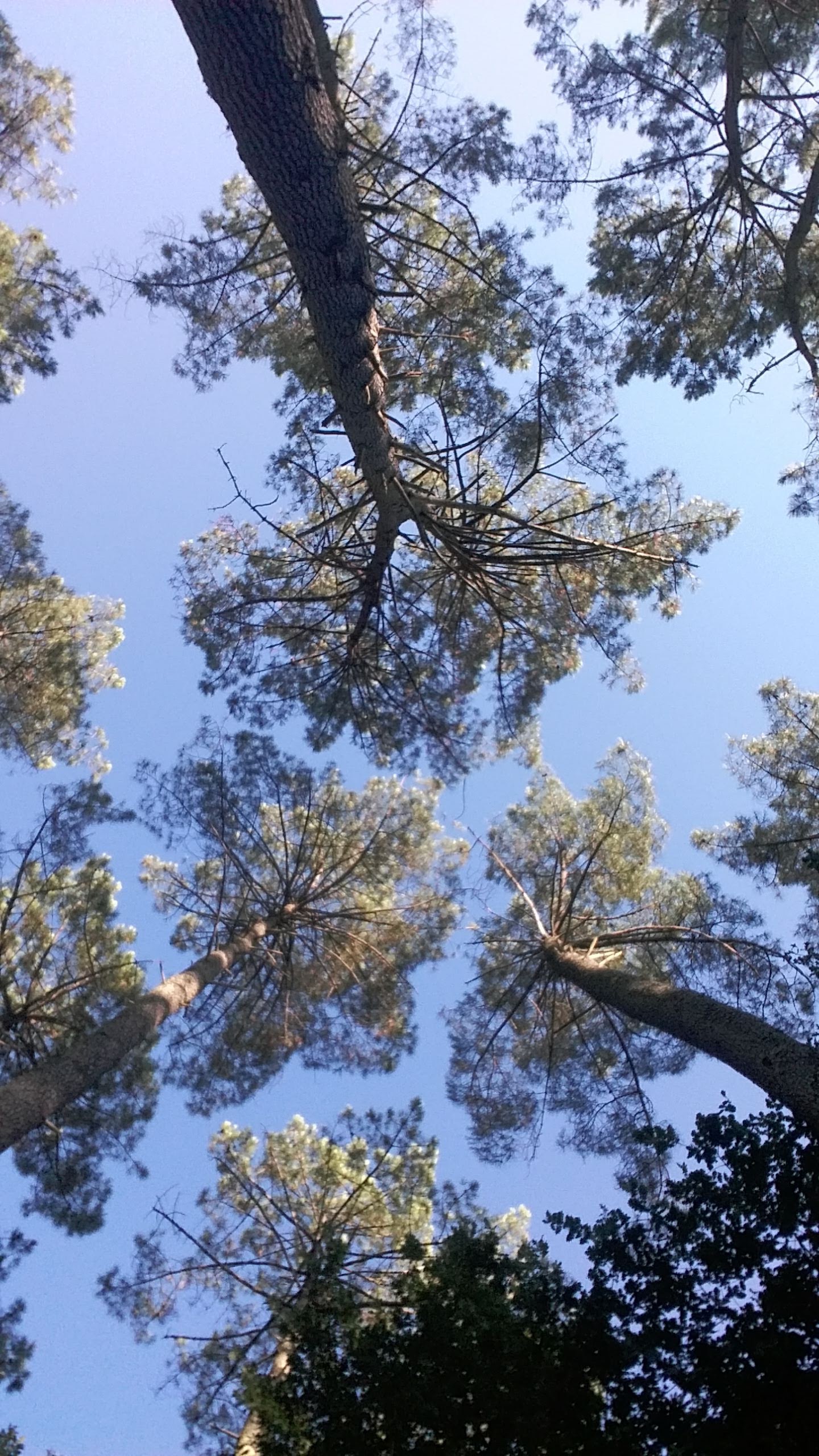 Photo n° 1 de l'avis de Sara.i fait le 31/08/2018 à 07:31