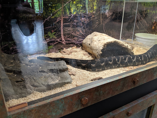 Nature Preserve «Lakeside Nature Center», reviews and photos, 4701 E Gregory Blvd, Kansas City, MO 64132, USA