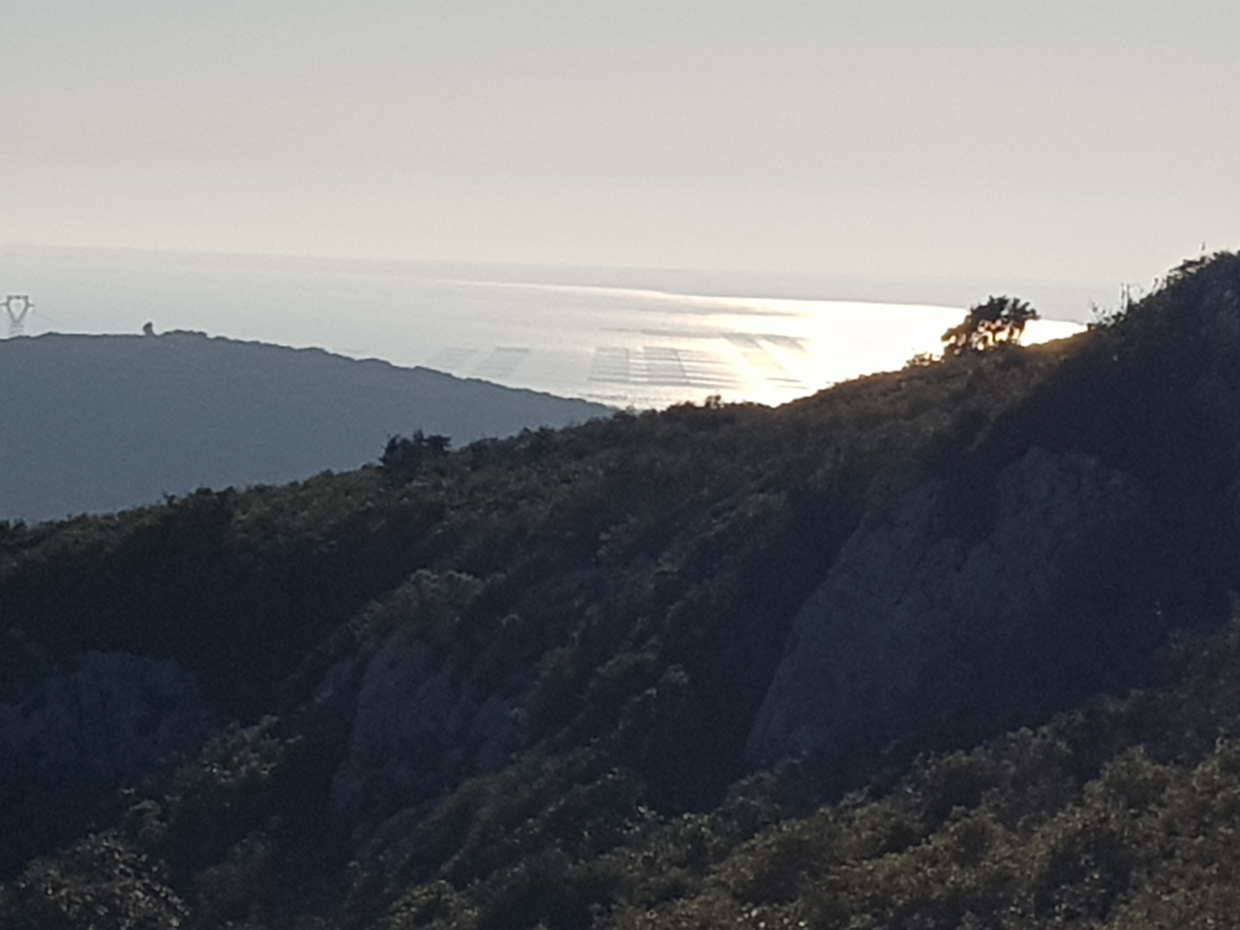 Photo n° 12 de l'avis de Isabelle.o fait le 19/02/2023 à 07:31